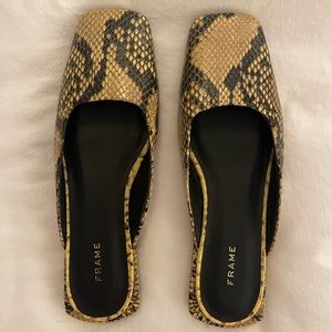 Frame python slide 36.5